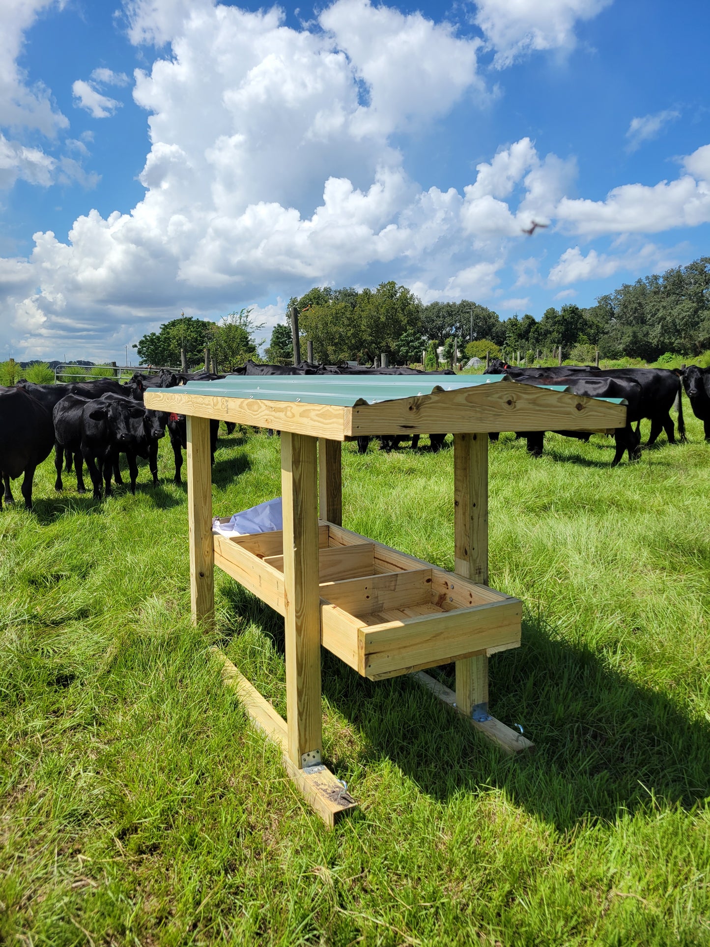 Mineral Feeder