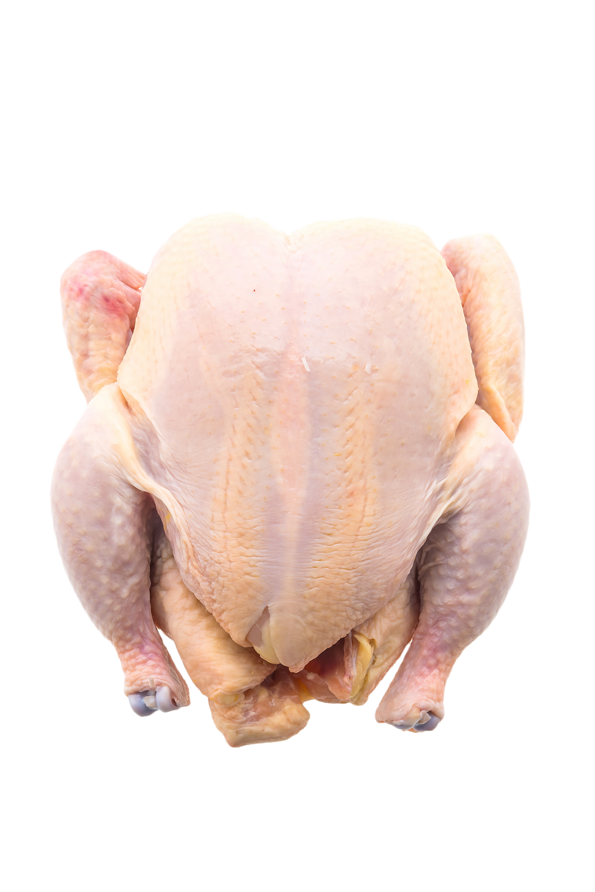 fresh whole chicken uncooked
