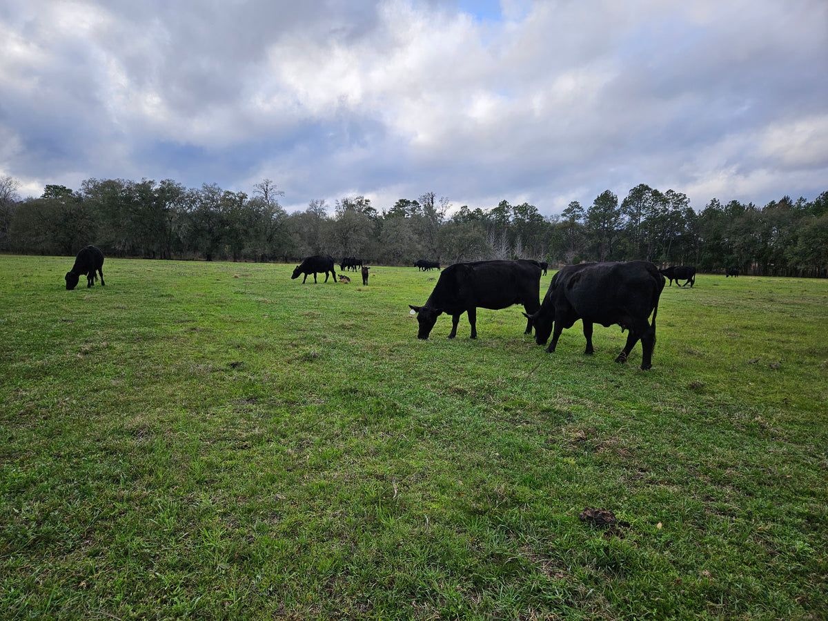 About Us – Braze Ranch
