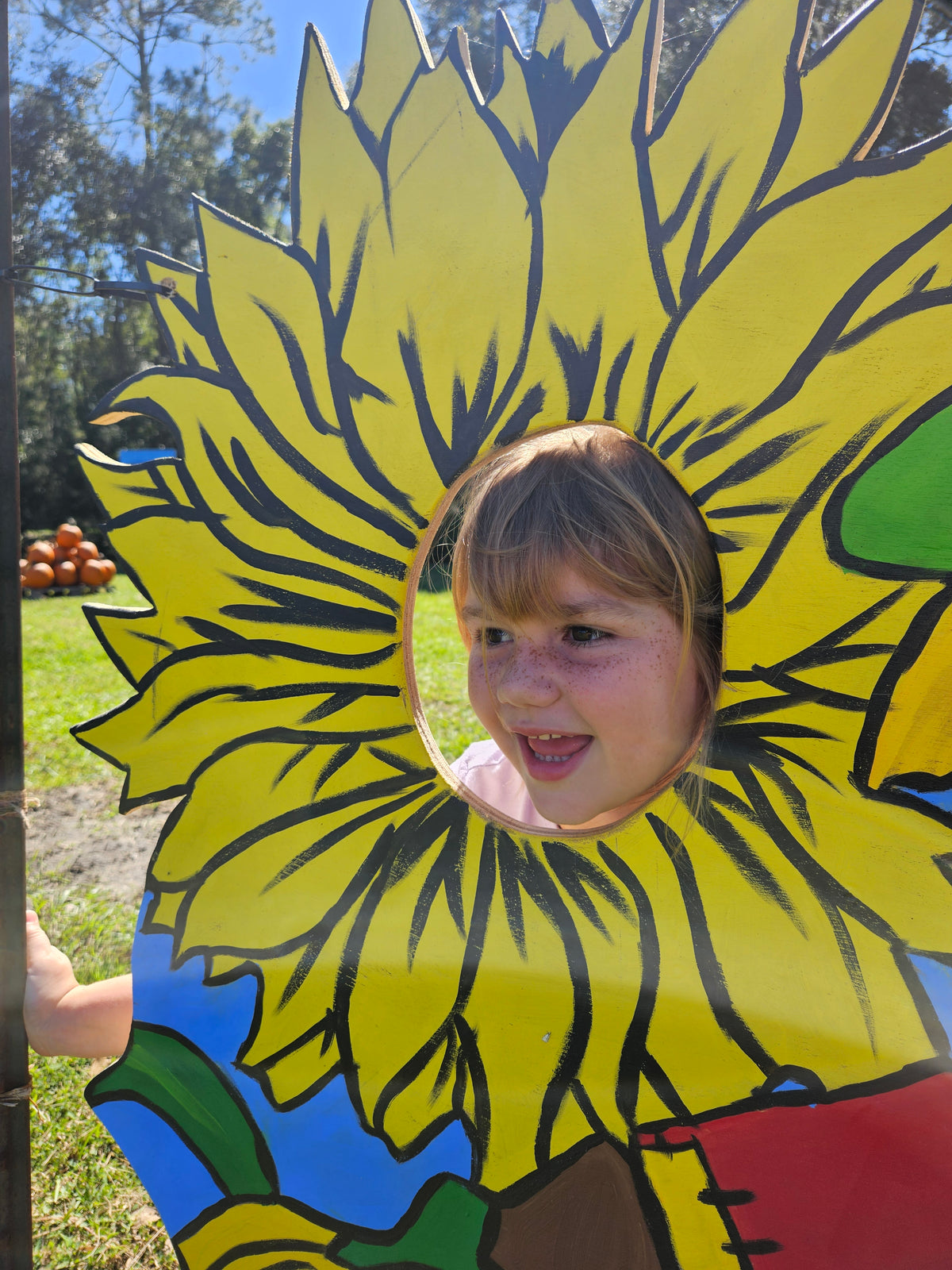 Crop Maze – Braze Ranch