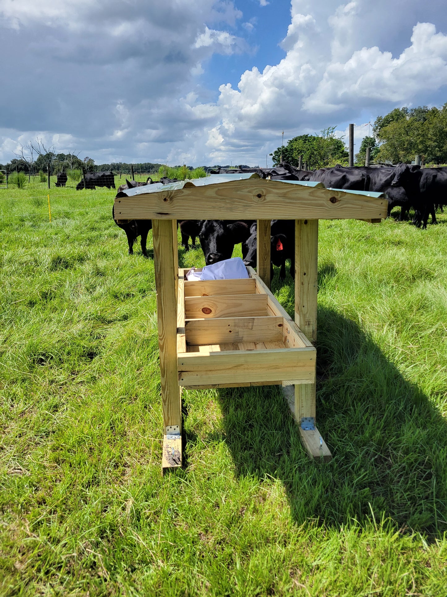 Mineral Feeder